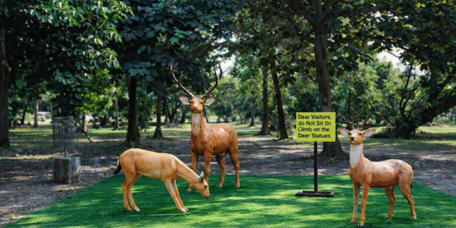 Deer Statues In The Park 924x462